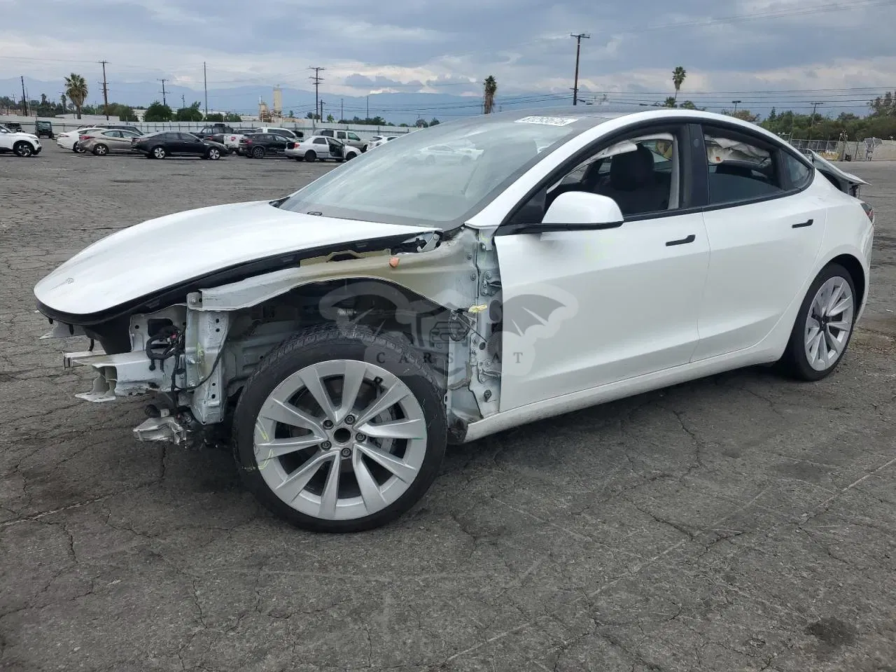 Tesla Model 3 2021