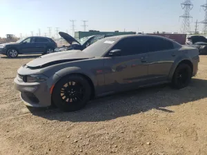 Dodge Charger SCAT PACK 6.4L 8 2023