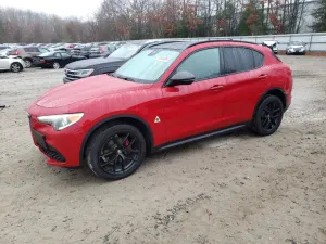 Alfa Romeo Stelvio 2.0L 4 2019