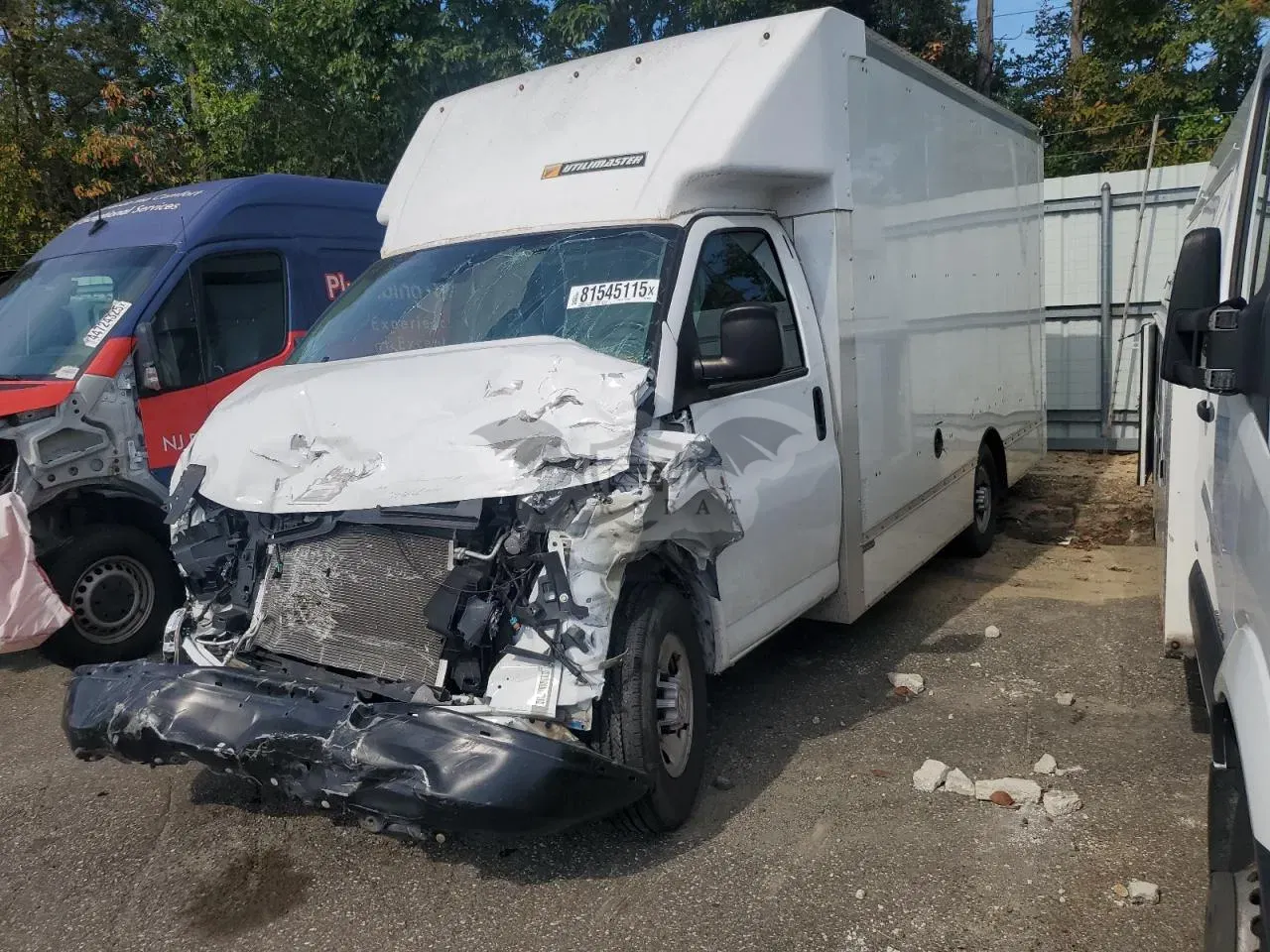 Chevrolet Express 6.6L 8 2021