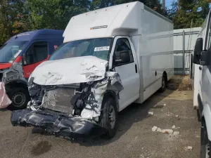 Chevrolet Express 6.6L 8 2021