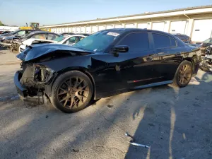 Dodge Challenger 6.4L 8 2019