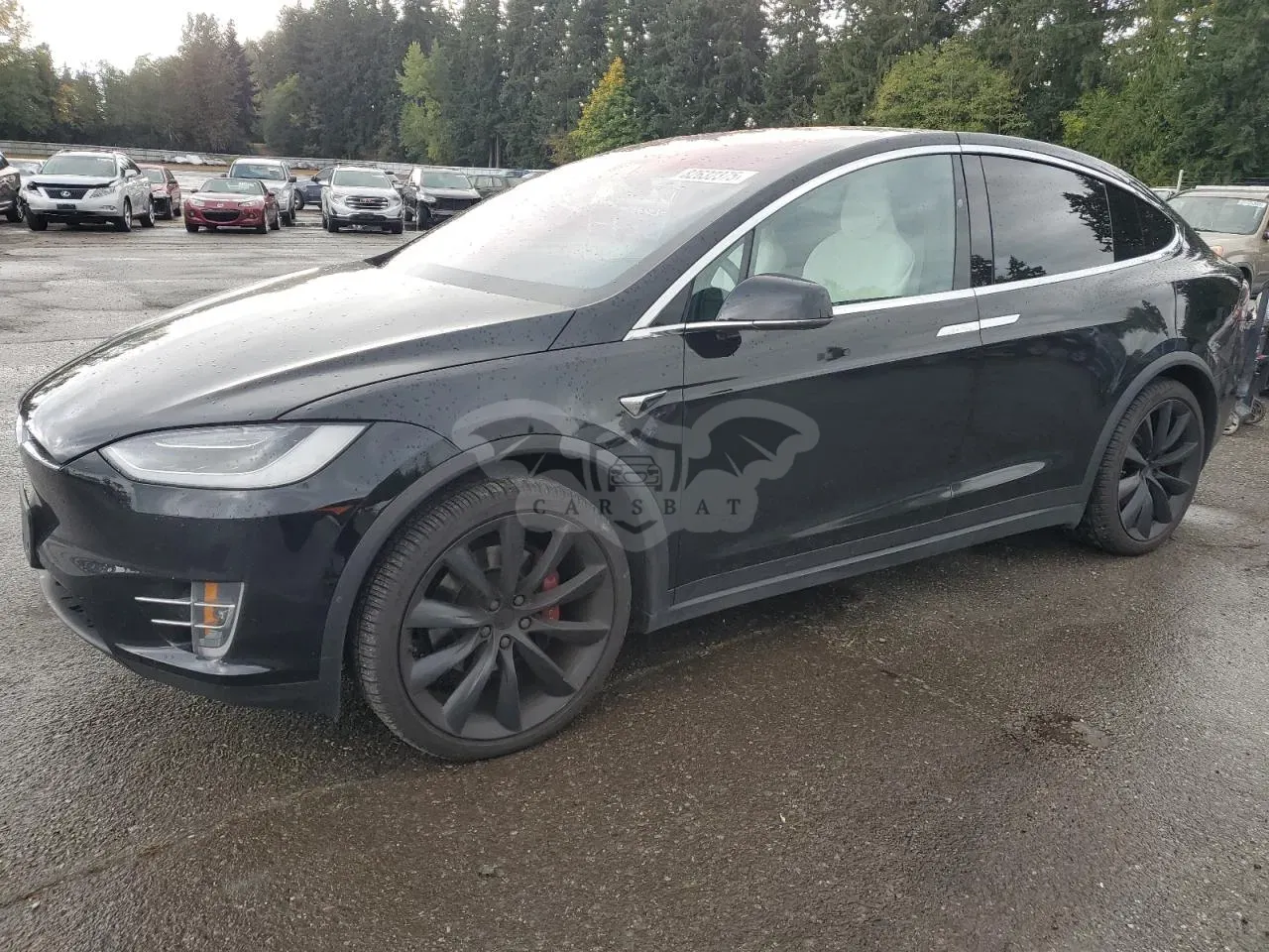 Tesla Model X 2018
