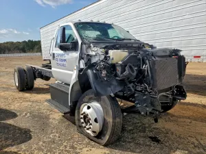 Ford F650 SUPER DUTY 7.3L 8 2023