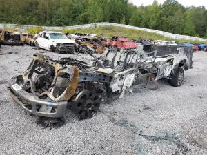 Ford F-250 SUPER DUTY 7.3L 8 2024