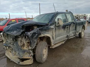 Ford F-250 SUPER DUTY 6.8L 8 2023