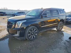 Cadillac Escalade PLATINUM 6.2L 8 2016