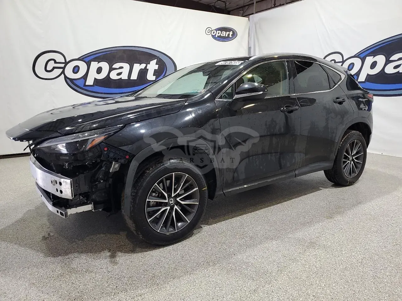 Lexus NX 2.4L 4 2024