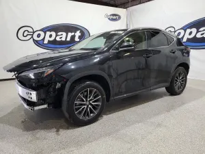 Lexus NX 2.4L 4 2024