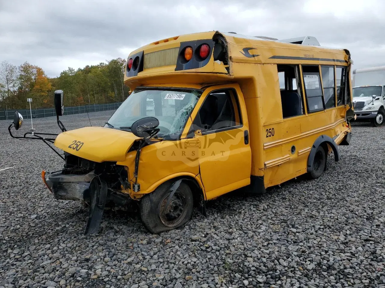 Chevrolet Express 6.0L 8 2010
