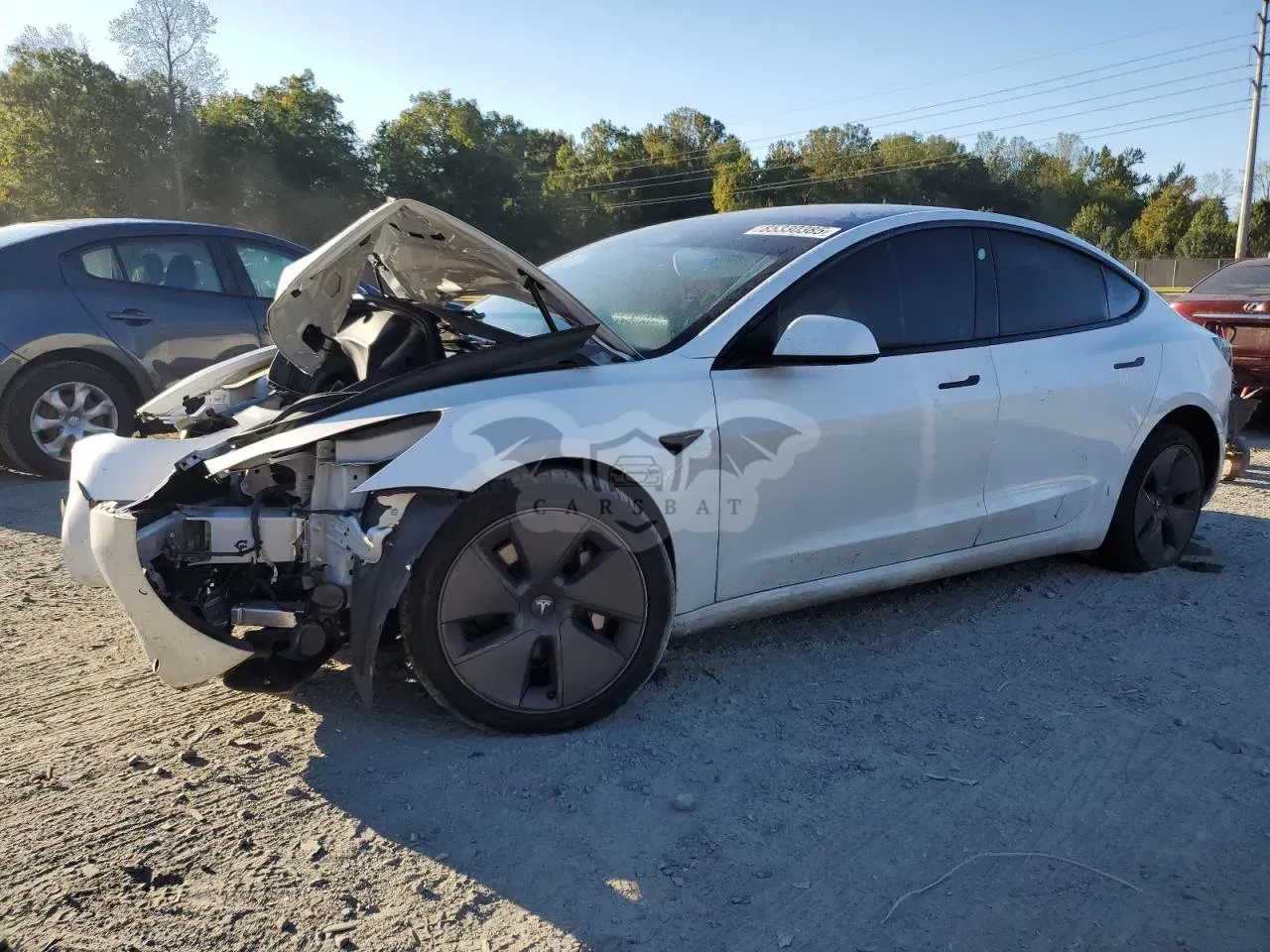 Tesla Model 3 2021