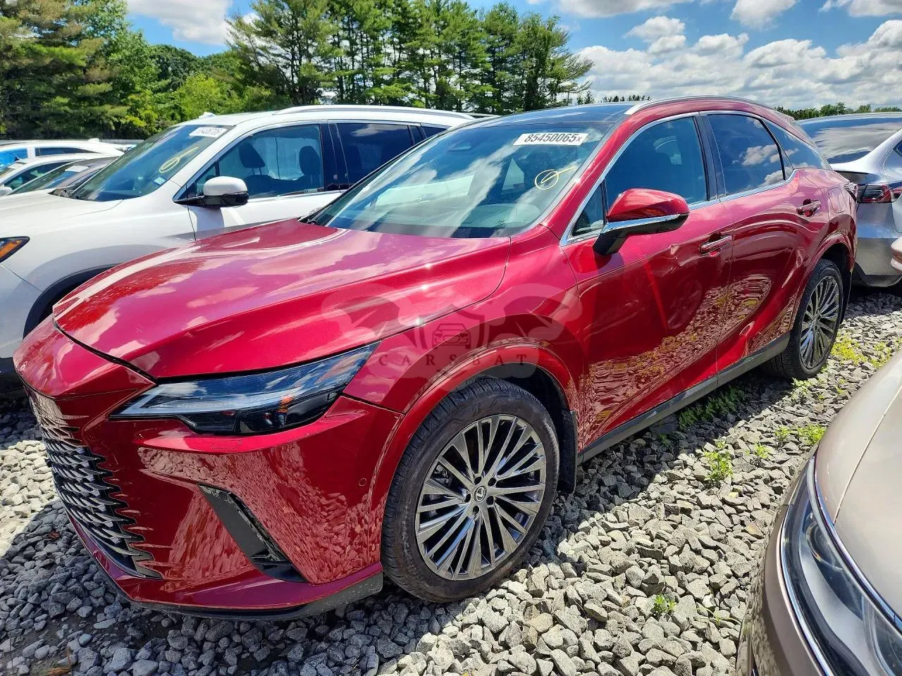Lexus RX 2.4L 4 2024