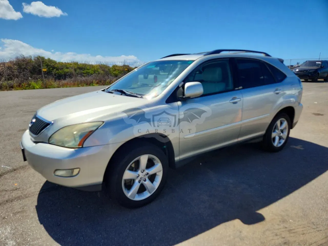 Lexus RX 3.3L 6 2005