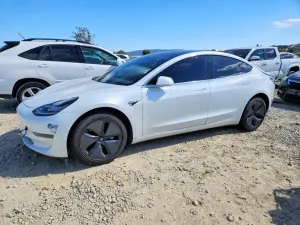 Tesla Model 3 2020