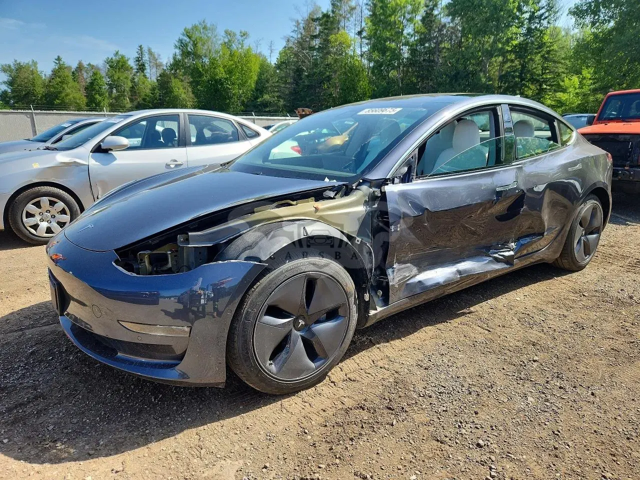 Tesla Model 3 2019