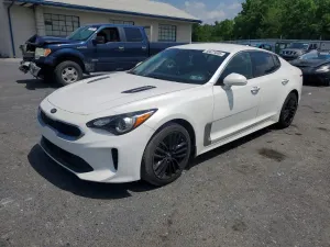 Kia Stinger 2.0L 4 2018