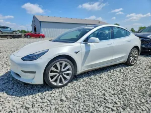 Tesla Model 3 2019