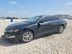 Chevrolet Malibu 1.5L 4 2019