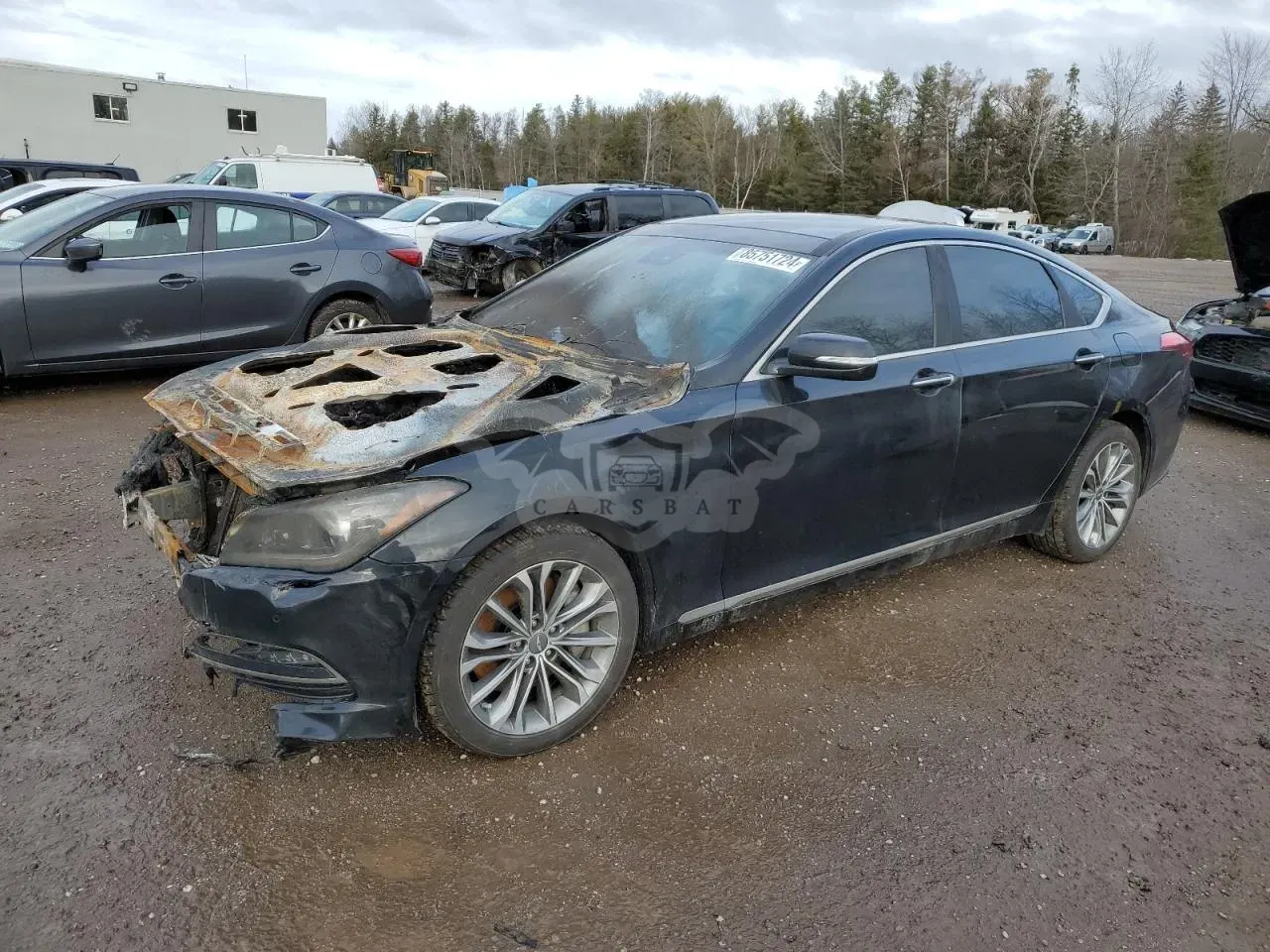 Hyundai Genesis 3.8L 6 2015