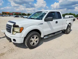Ford F-150 4.6L 8 2009
