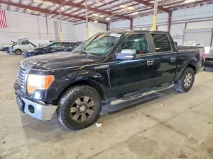 Ford F-150 4.6L 8 2010