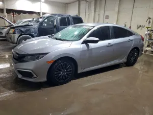 Honda Civic 2.0L 4 2019