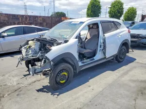 Hyundai Tucson 2.0L 4 2018