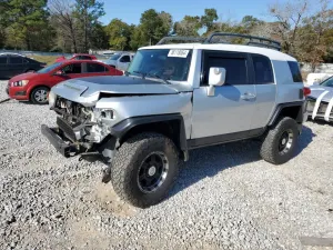 Toyota FJ Cruiser 4.0L 6 2007