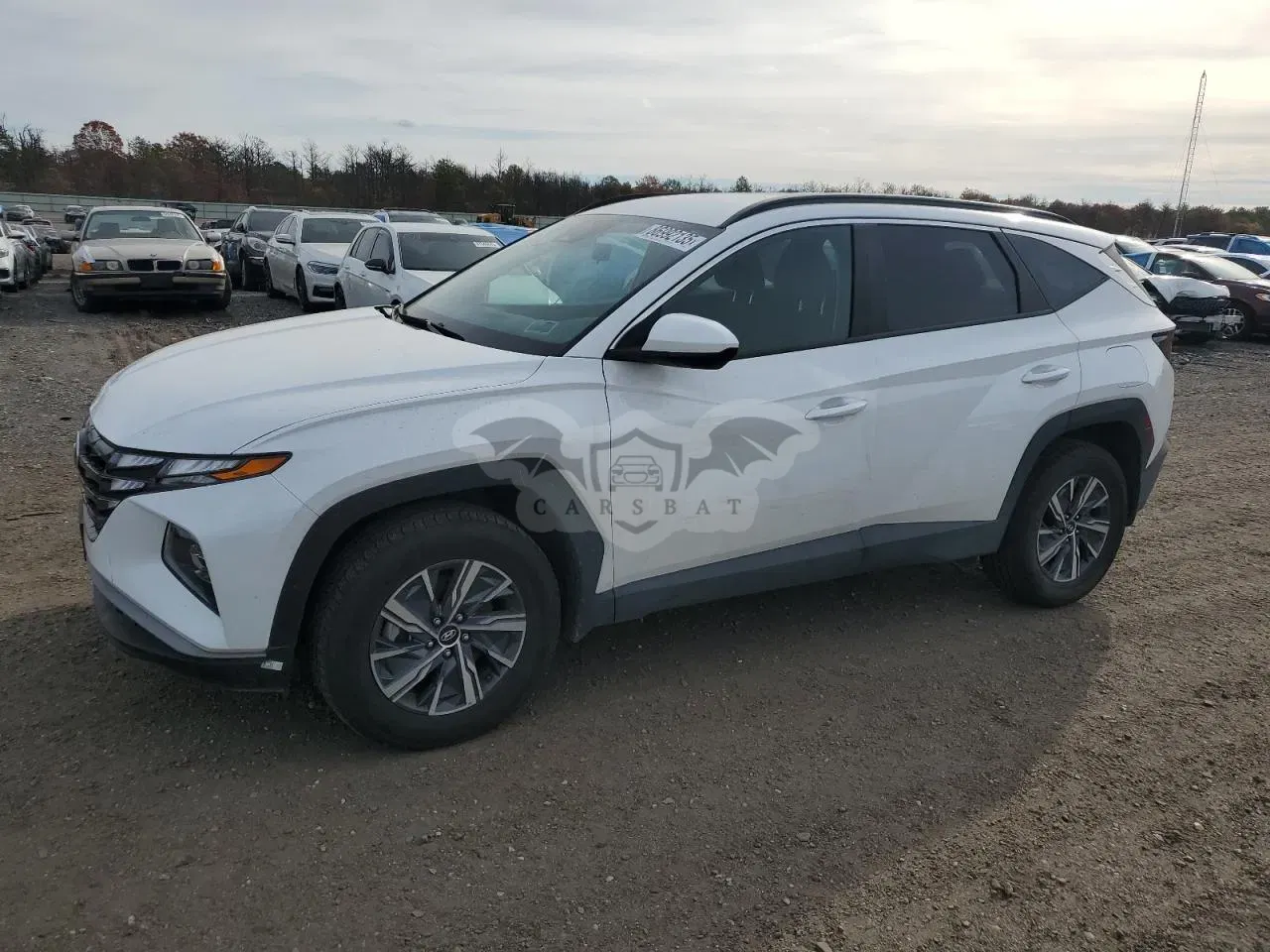 Hyundai Tucson BLUE 1.6L 4 2024