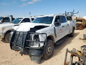 Ford F-250 SUPER DUTY 6.8L 8 2025