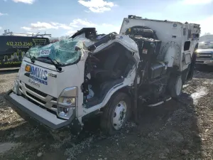 Isuzu NPR 6.6L 8 2024