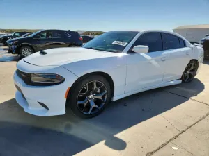 Dodge Charger R/T 5.7L 8 2019