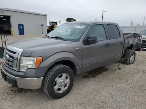 Ford F-150 SUPERCREW 4.6L 8 2010