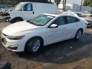Chevrolet Malibu 1.5L 4 2019