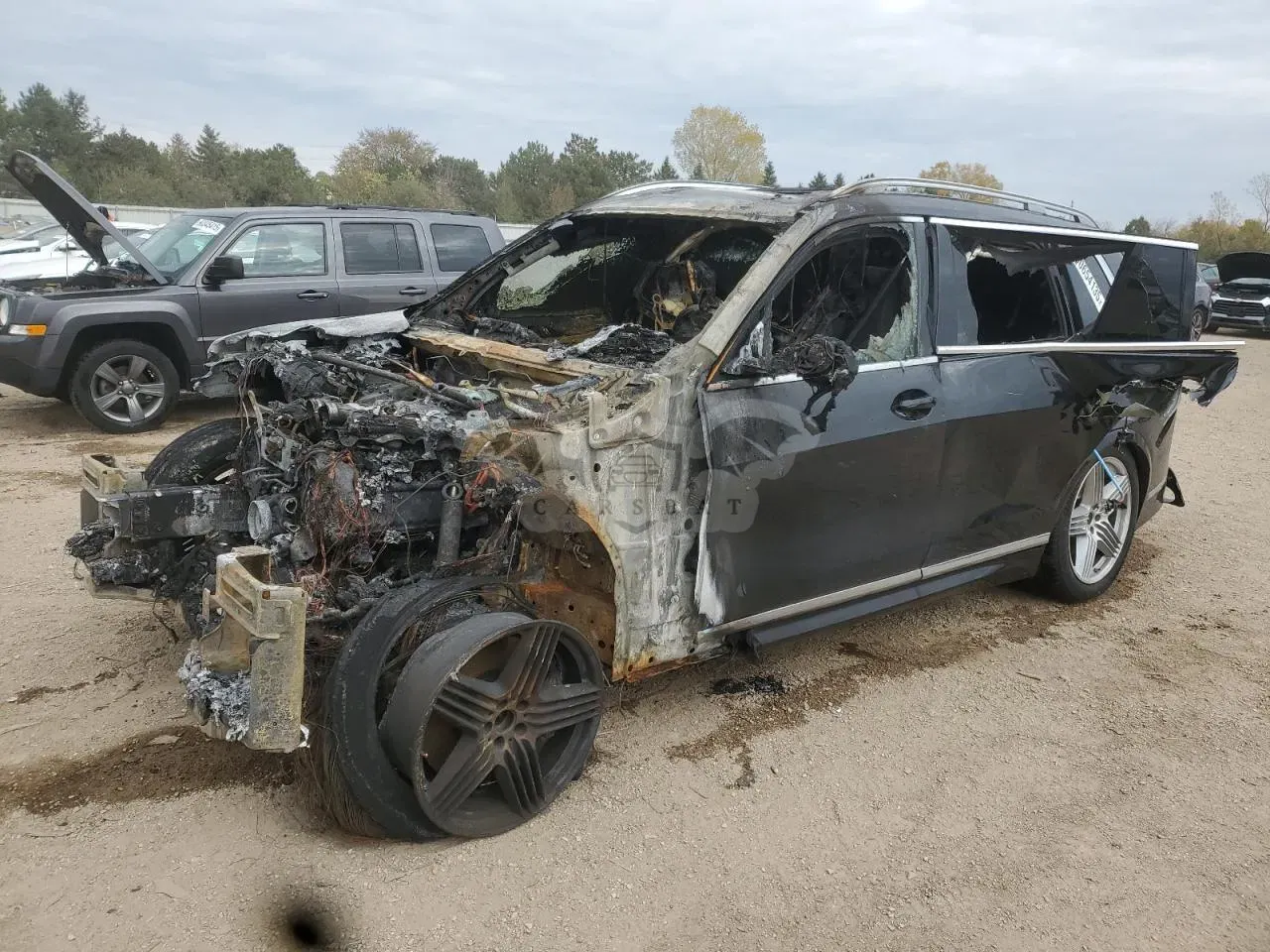 BMW X7 4.4L 8 2025