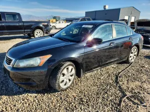 Honda Accord EX 2.4L 4 2010