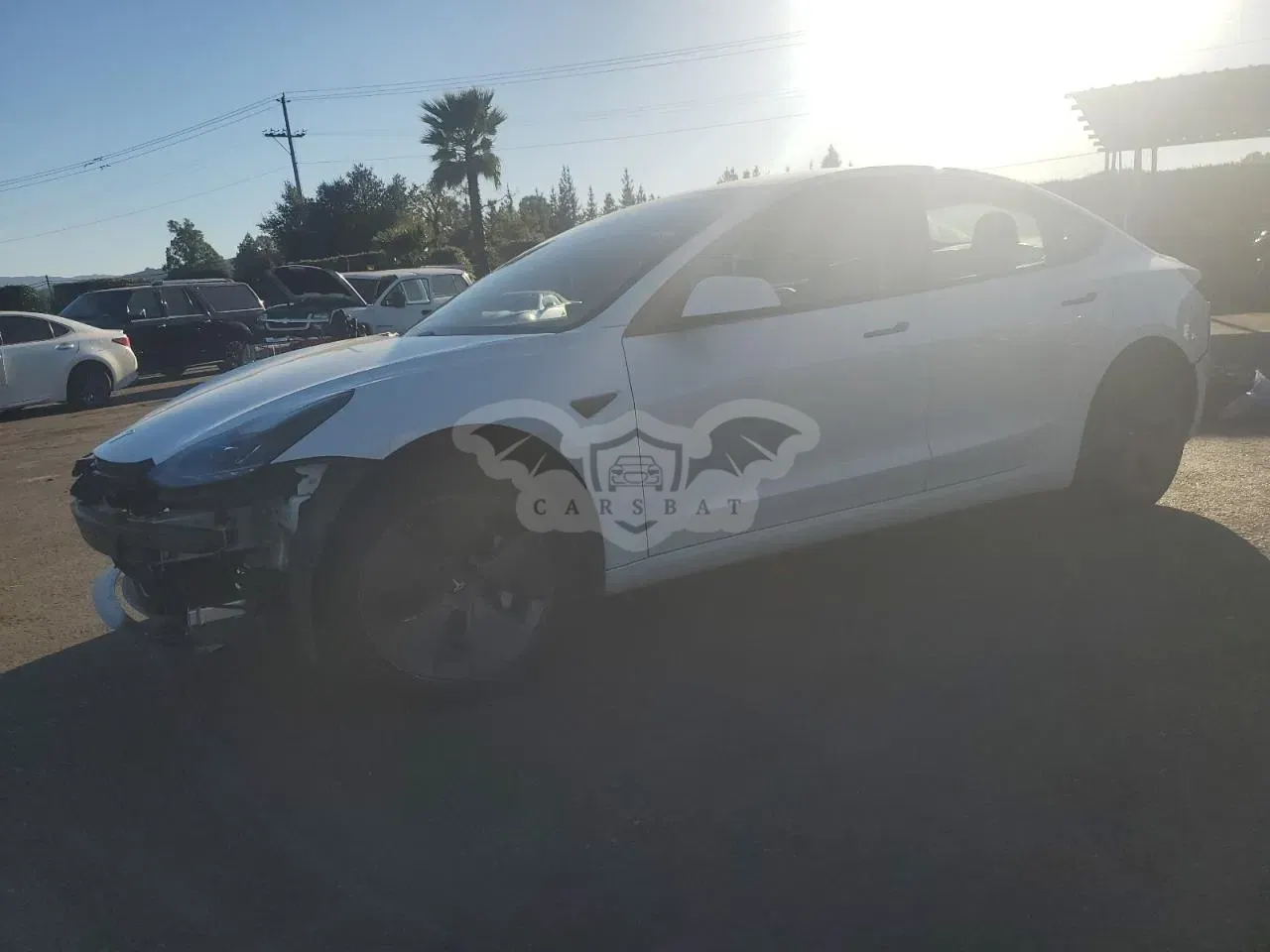 Tesla Model 3 2021