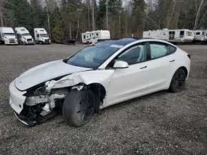 Tesla Model 3 2024