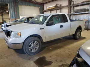 Ford F-150 5.4L 8 2007