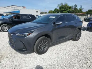 Lexus NX 250 BASE 2.5L 4 2024