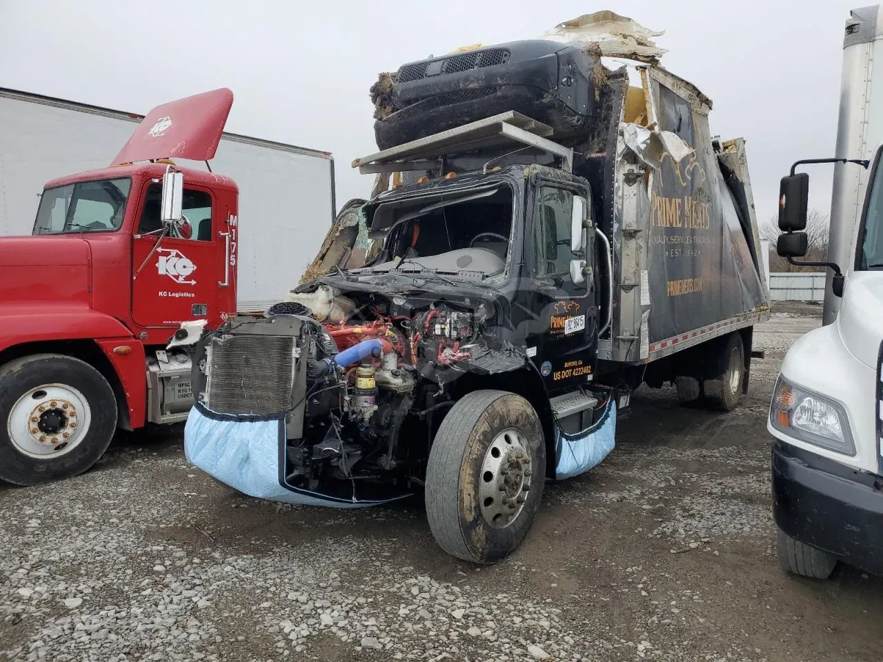 Freightliner Business Class M2 6.7L 6 2024
