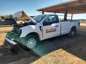 Ford F-150 XL 5.0L 8 2024
