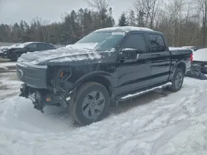 Ford F-150 LIGHTNING PRO 2022