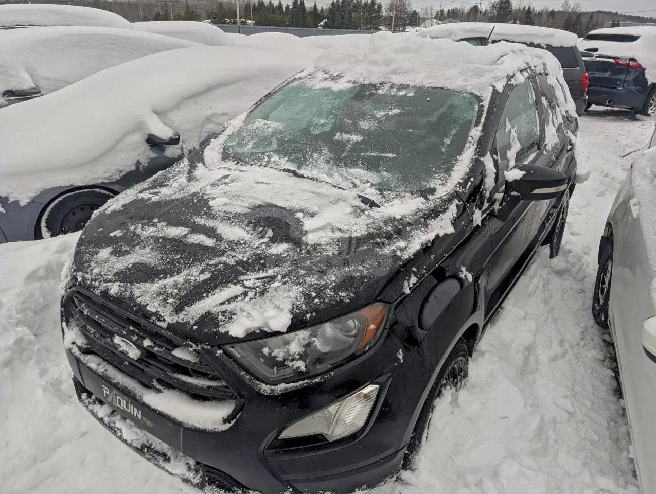 Ford Ecosport SES 2.0L 4 2019