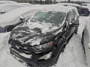 Ford Ecosport SES 2.0L 4 2019