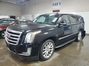 Cadillac Escalade ESV LUXURY 6.2L 8 2019