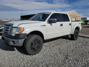 Ford F-150 SUPERCREW 5.4L 8 2010