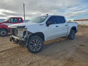 Chevrolet Silverado 1500 5.3L 8 2019