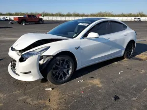 Tesla Model 3 2019