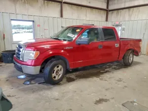 Ford F-150 4.6L 8 2009